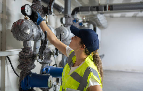 Best Local Plumber Services  in Medina, MN