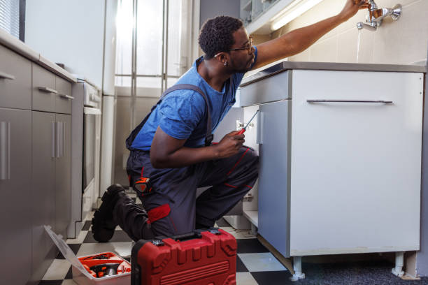 Best Commercial Plumbing Services  in Medina, MN